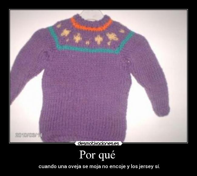 Por qué  -  cuando una oveja se moja no encoje y los jersey sí.