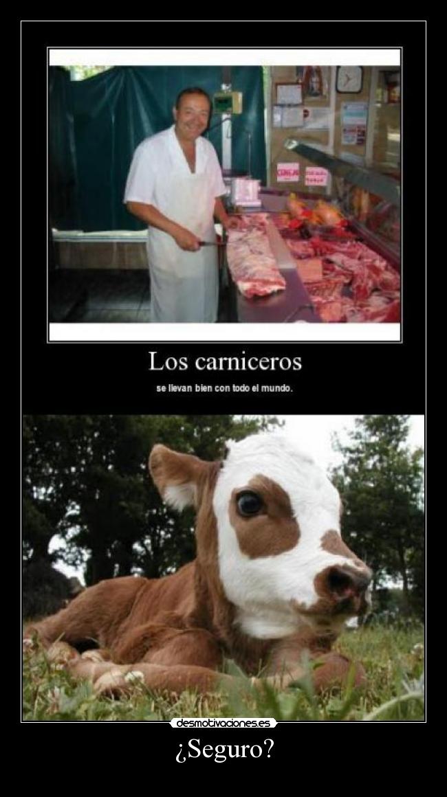 ¿Seguro? -