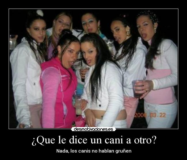 ¿Que le dice un cani a otro? -