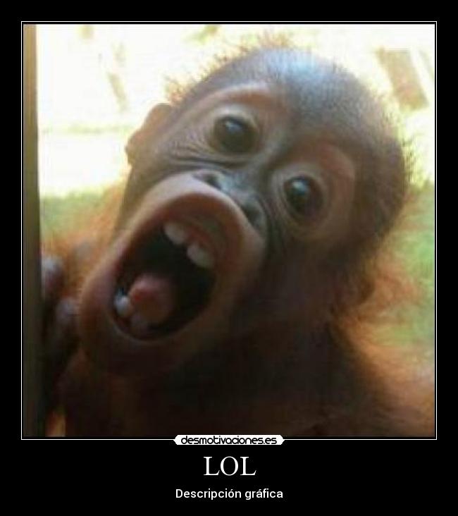 LOL - Descripción gráfica
