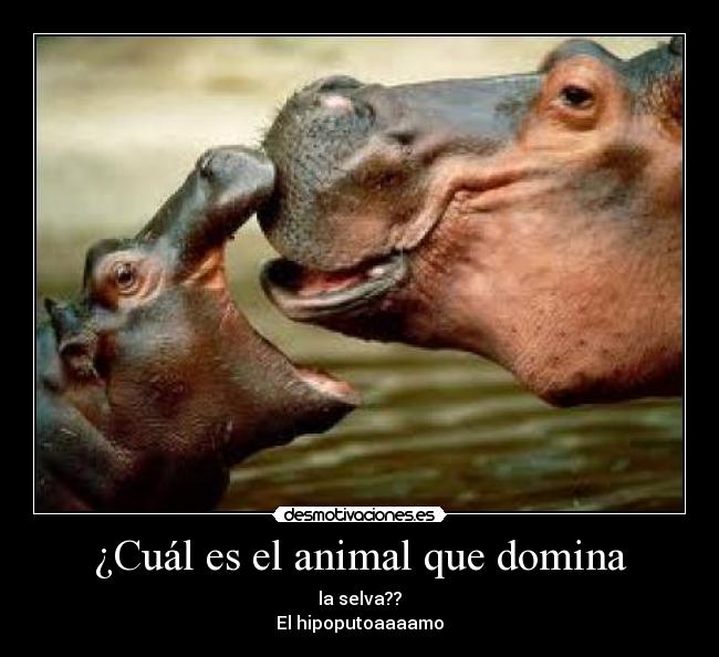 ¿Cuál es el animal que domina - 