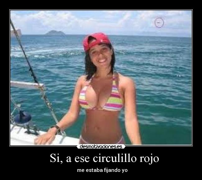 carteles dispot desmotivaciones