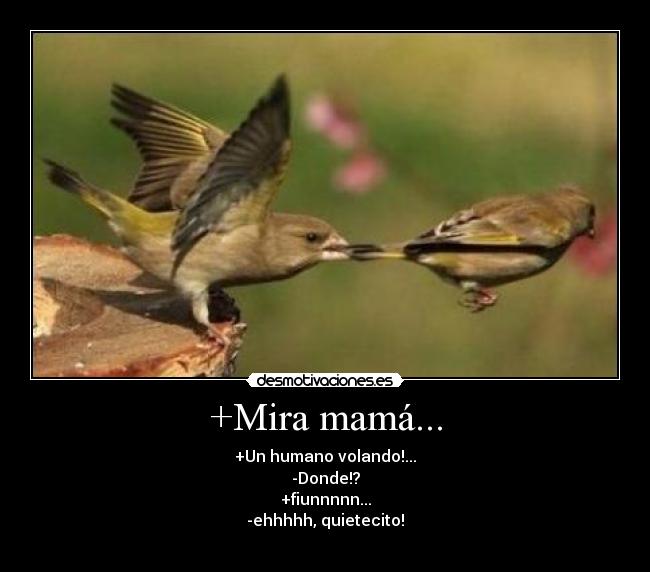 +Mira mamá... - 