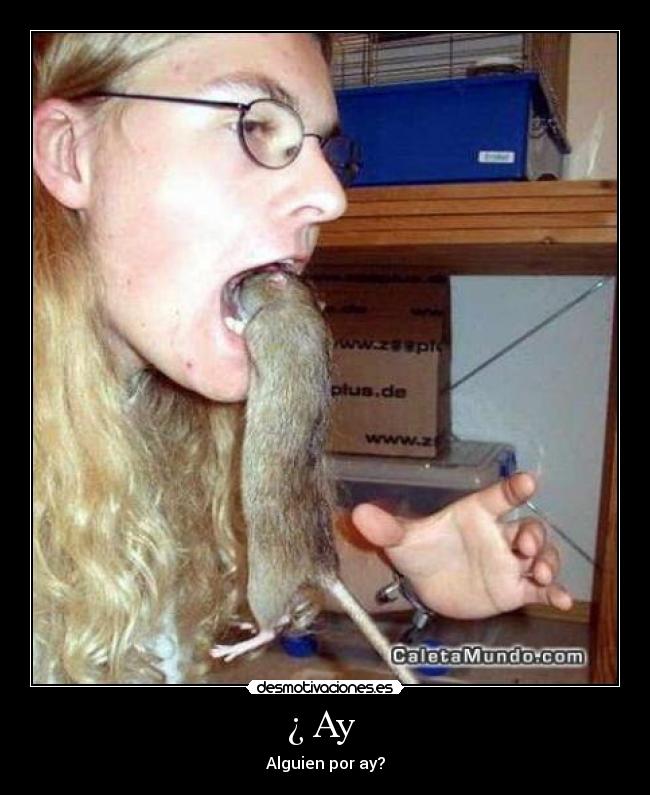 ¿ Ay - Alguien por ay?