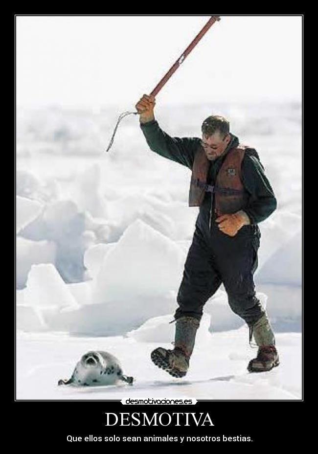 carteles yolanda22 desmotivaciones