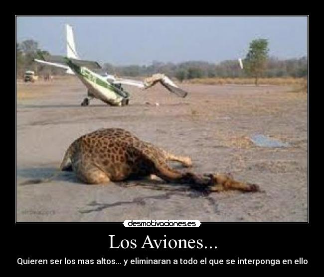 Los Aviones... - Quieren ser los mas altos... y eliminaran a todo el que se interponga en ello