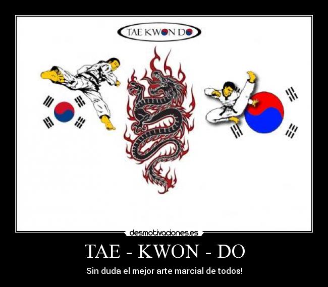 TAE - KWON - DO - Sin duda el mejor arte marcial de todos!