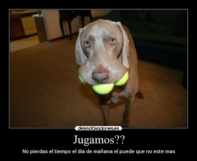 Jugamos?? - 