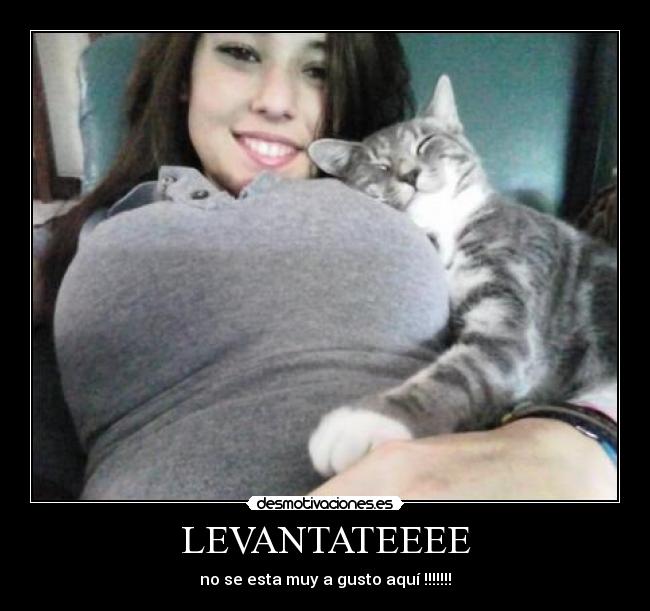 LEVANTATEEEE - 