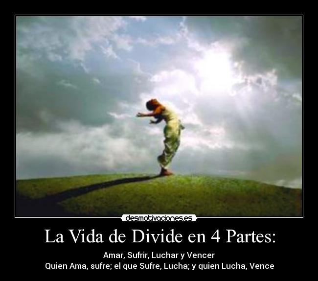 La Vida de Divide en 4 Partes: -