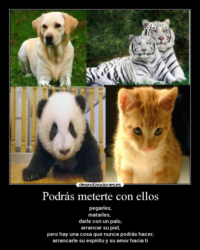 Podrás meterte con ellos - pegarles,
matarles, 
darle con un palo,
arrancar su piel,
pero hay una cosa que nunca podrás hacer;
arrancarle su espíritu y su amor hacia ti
