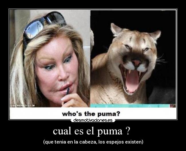 carteles puma desmotivaciones