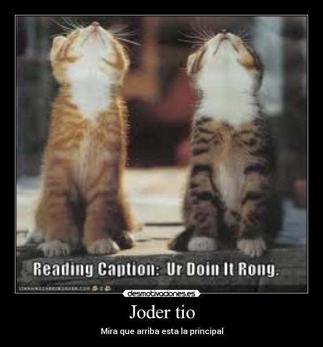 Joder tio - Mira que arriba esta la principal