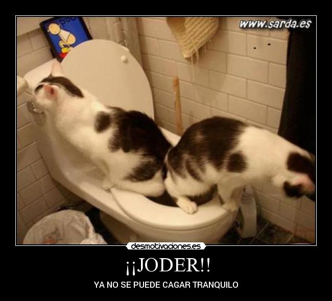 carteles joder desmotivaciones