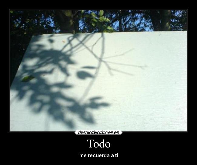 Todo - 