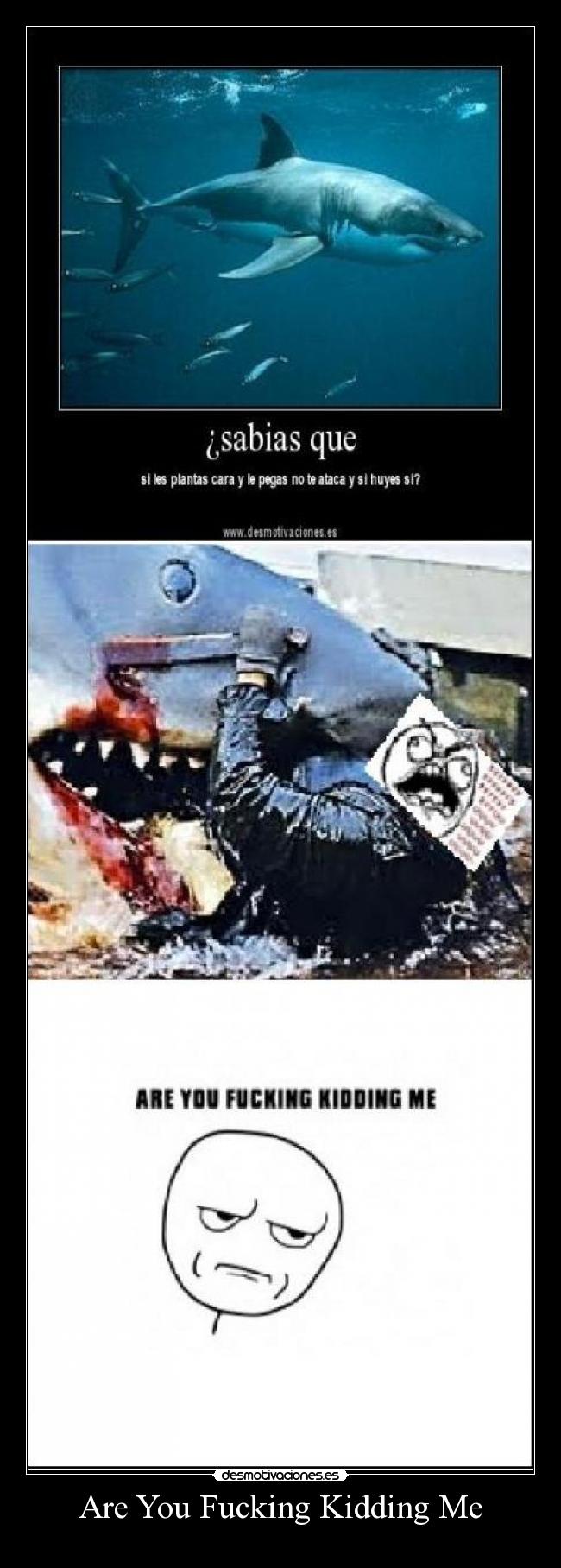 Are You Fucking Kidding Me -