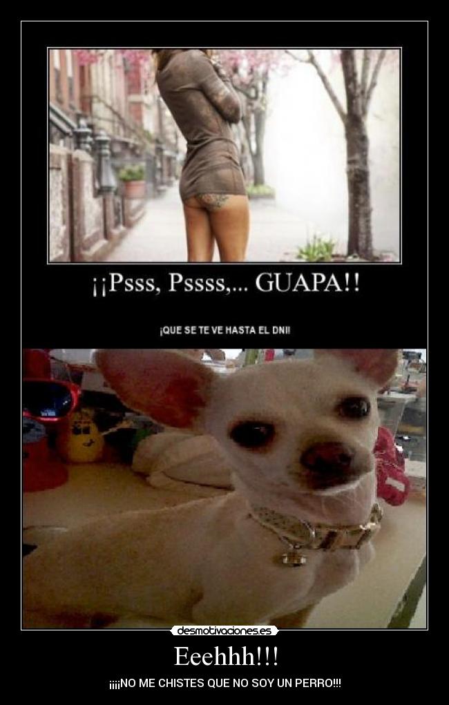 Eeehhh!!! - ¡¡¡¡NO ME CHISTES QUE NO SOY UN PERRO!!!