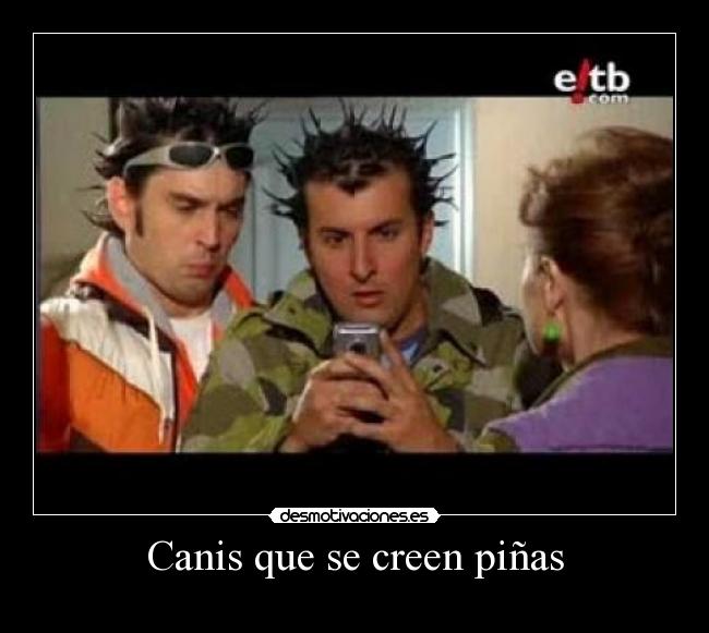 Canis que se creen piñas -