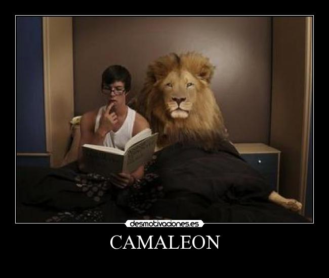 CAMALEON -