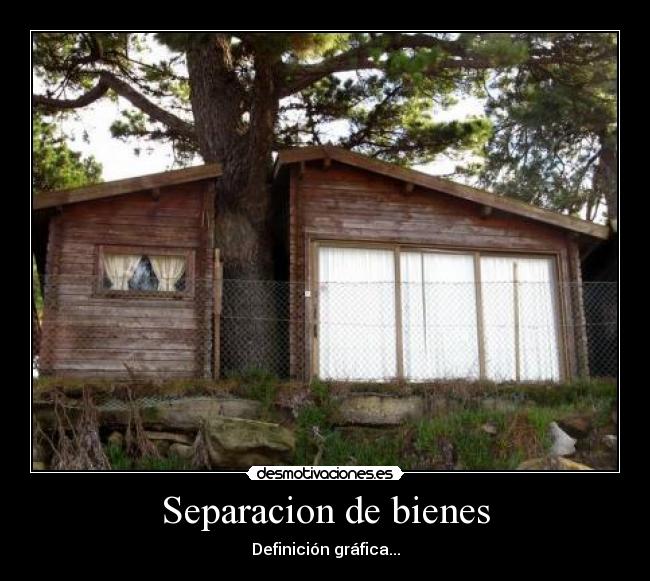 Separacion de bienes - 