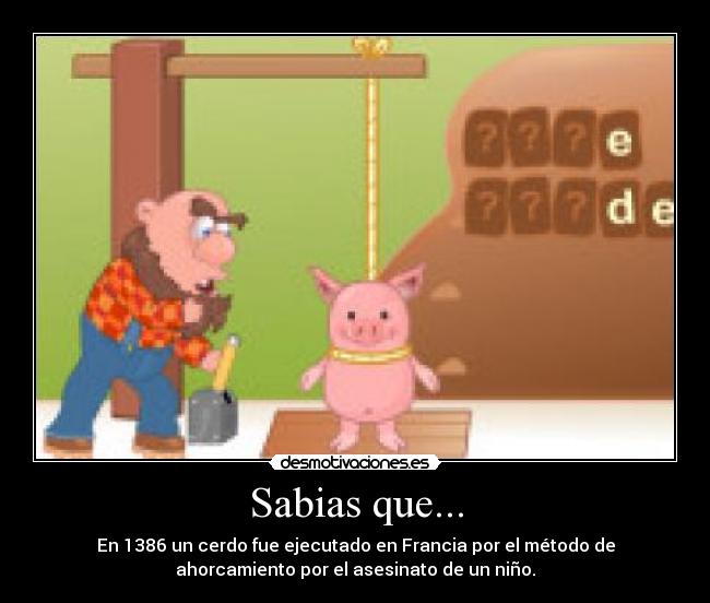 Sabias que... - En 1386 un cerdo fue ejecutado en Francia por el método de
ahorcamiento por el asesinato de un niño.