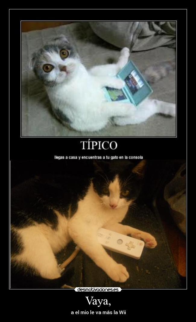 Vaya, - a el mio le va más la Wii