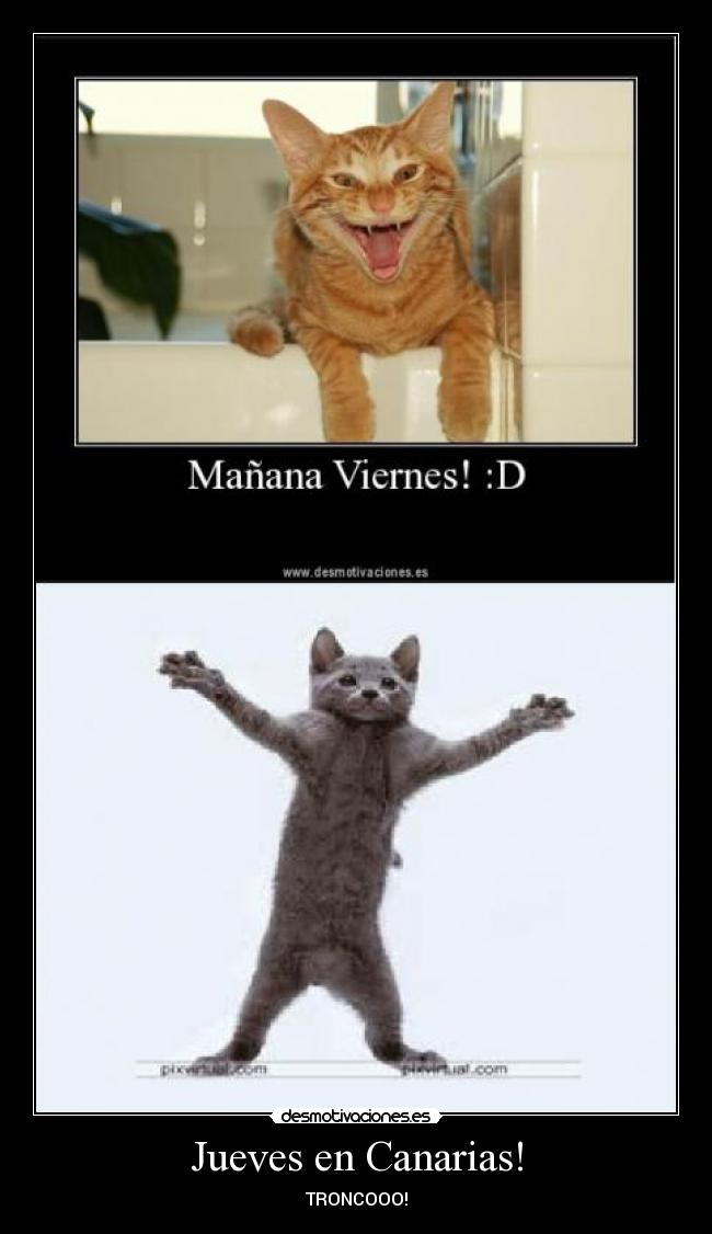 Jueves en Canarias! -
