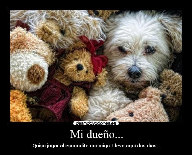 Mi dueño... -