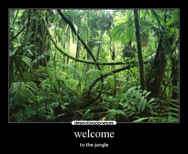 welcome - 