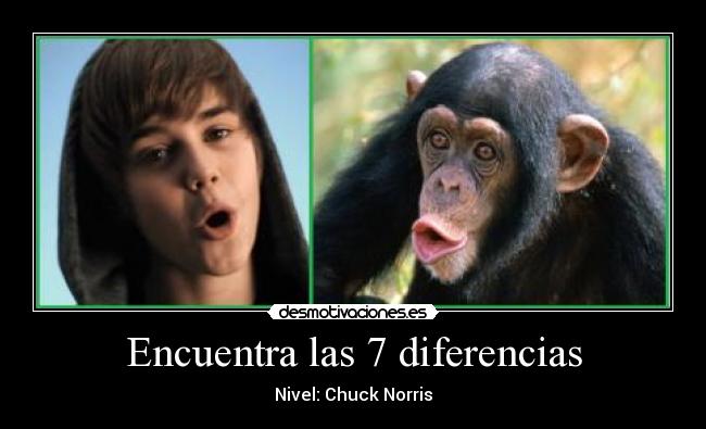 Encuentra las 7 diferencias - 