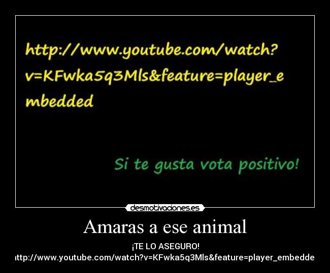 Amaras a ese animal - ¡TE LO ASEGURO!
http://www.youtube.com/watch?v=KFwka5q3Mls&feature=player_embedded