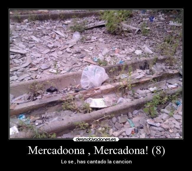 Mercadoona , Mercadona! (8) - Lo se , has cantado la cancion