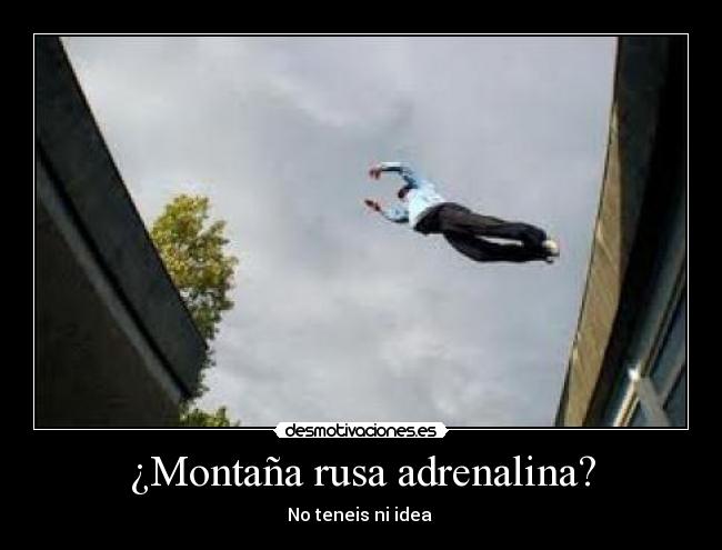 ¿Montaña rusa adrenalina? -