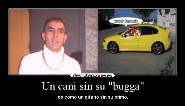 Un cani sin su bugga -
