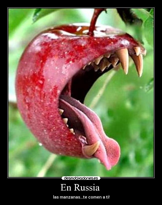 En Russia - las manzanas...te comen a ti!