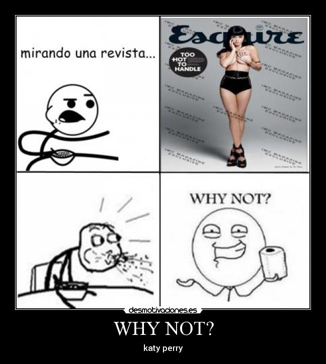 WHY NOT? - katy perry