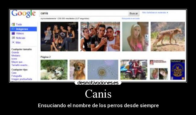 Canis - Ensuciando el nombre de los perros desde siempre