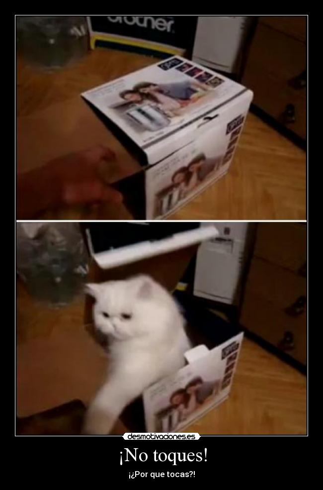 ¡No toques! -