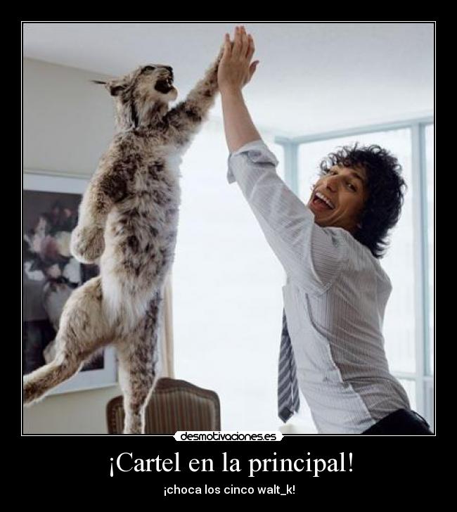¡Cartel en la principal! - ¡choca los cinco walt_k!