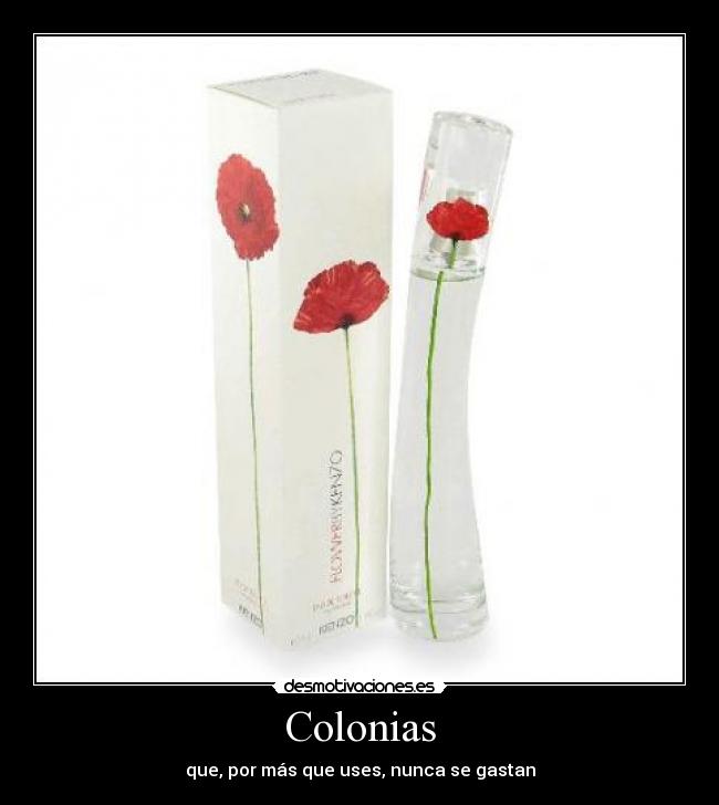 Colonias - 