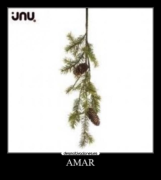 AMAR -