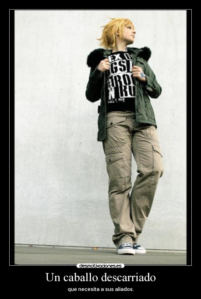 Un caballo descarriado - que necesita a sus aliados.