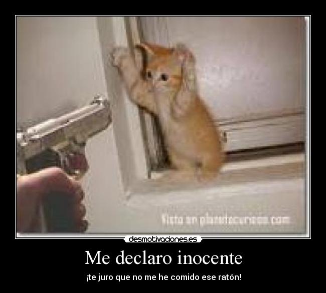 Me declaro inocente -