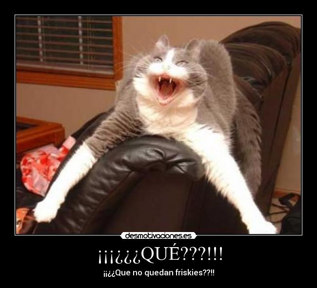 ¡¡¡¿¿¿QUÉ???!!! - ¡¡¿¿Que no quedan friskies??!!