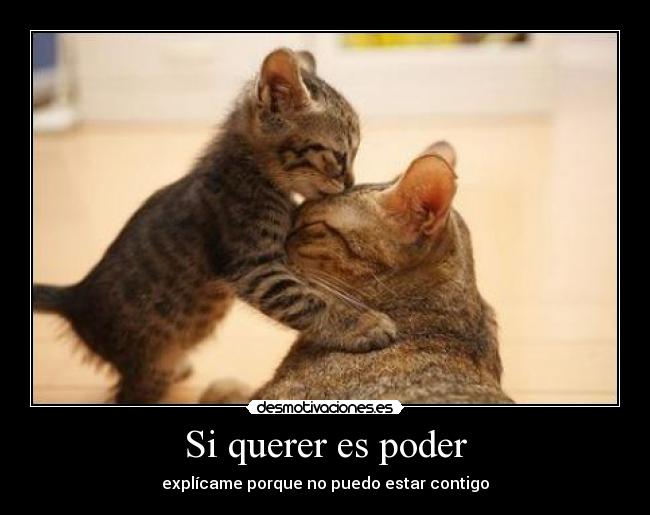 Si querer es poder -