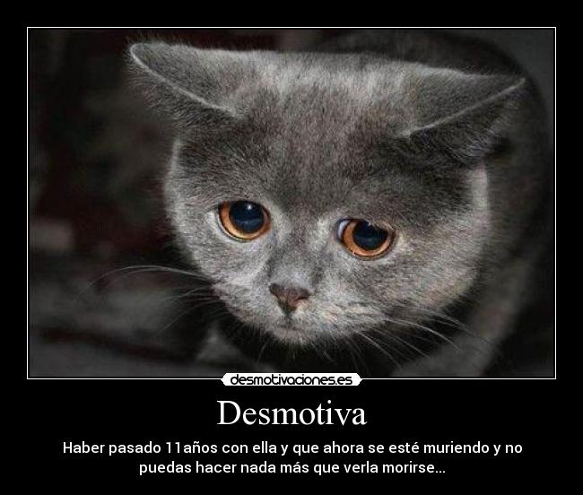 Desmotiva - Haber pasado 11años con ella y que ahora se esté muriendo y no
puedas hacer nada más que verla morirse...