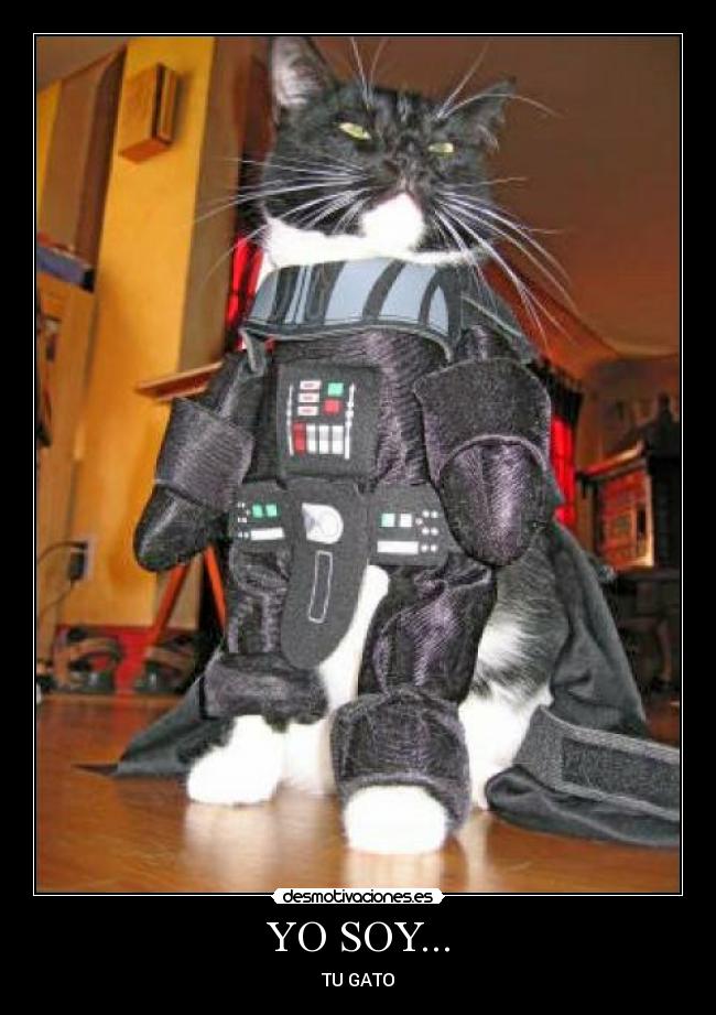YO SOY... - TU GATO