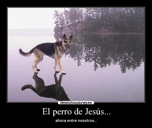 El perro de Jesús... -