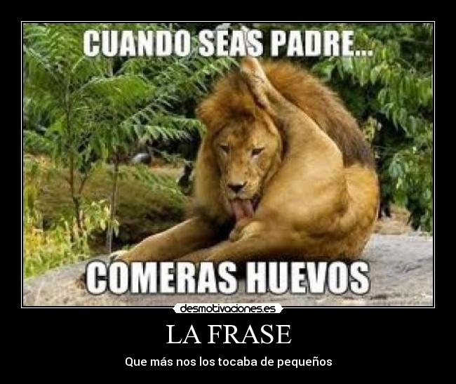 LA FRASE - 