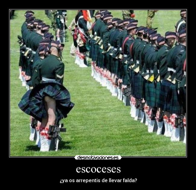 escoceses -